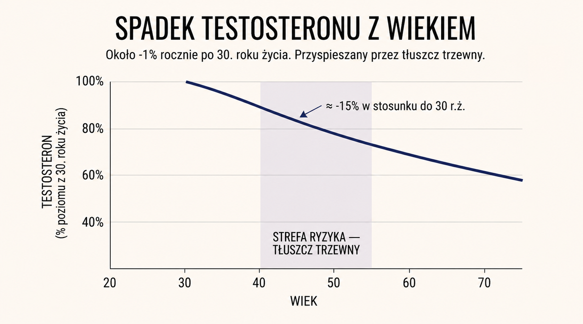 Krzywa spadku testosteronu z wiekiem - około -1% rocznie po 30. roku życia.